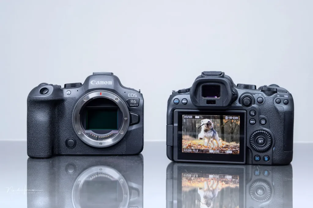 canon eos r6 vs canon eos r6 mark ii specs