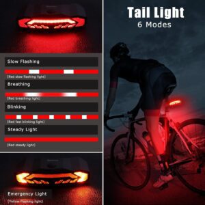 WSDCAM Smart Bike Tail Light.1